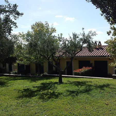 Villa Agriturismo La Vite E Gli Ulivi Ariccia Exterior foto
