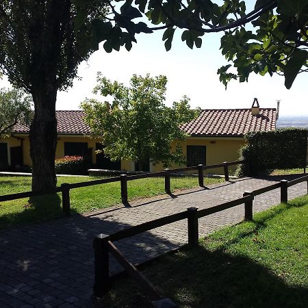 Villa Agriturismo La Vite E Gli Ulivi Ariccia Exterior foto