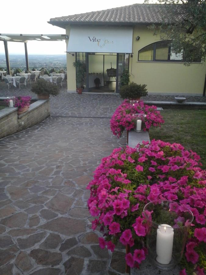 Villa Agriturismo La Vite E Gli Ulivi Ariccia Exterior foto
