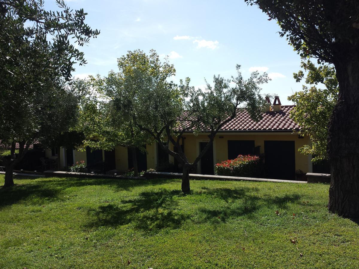 Villa Agriturismo La Vite E Gli Ulivi Ariccia Exterior foto