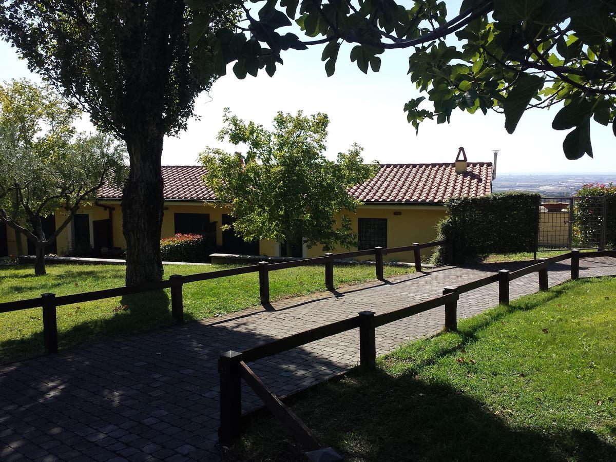 Villa Agriturismo La Vite E Gli Ulivi Ariccia Exterior foto